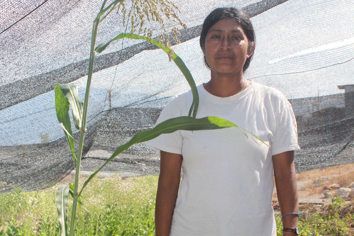 Año 2010 - Ayuda en Acción México