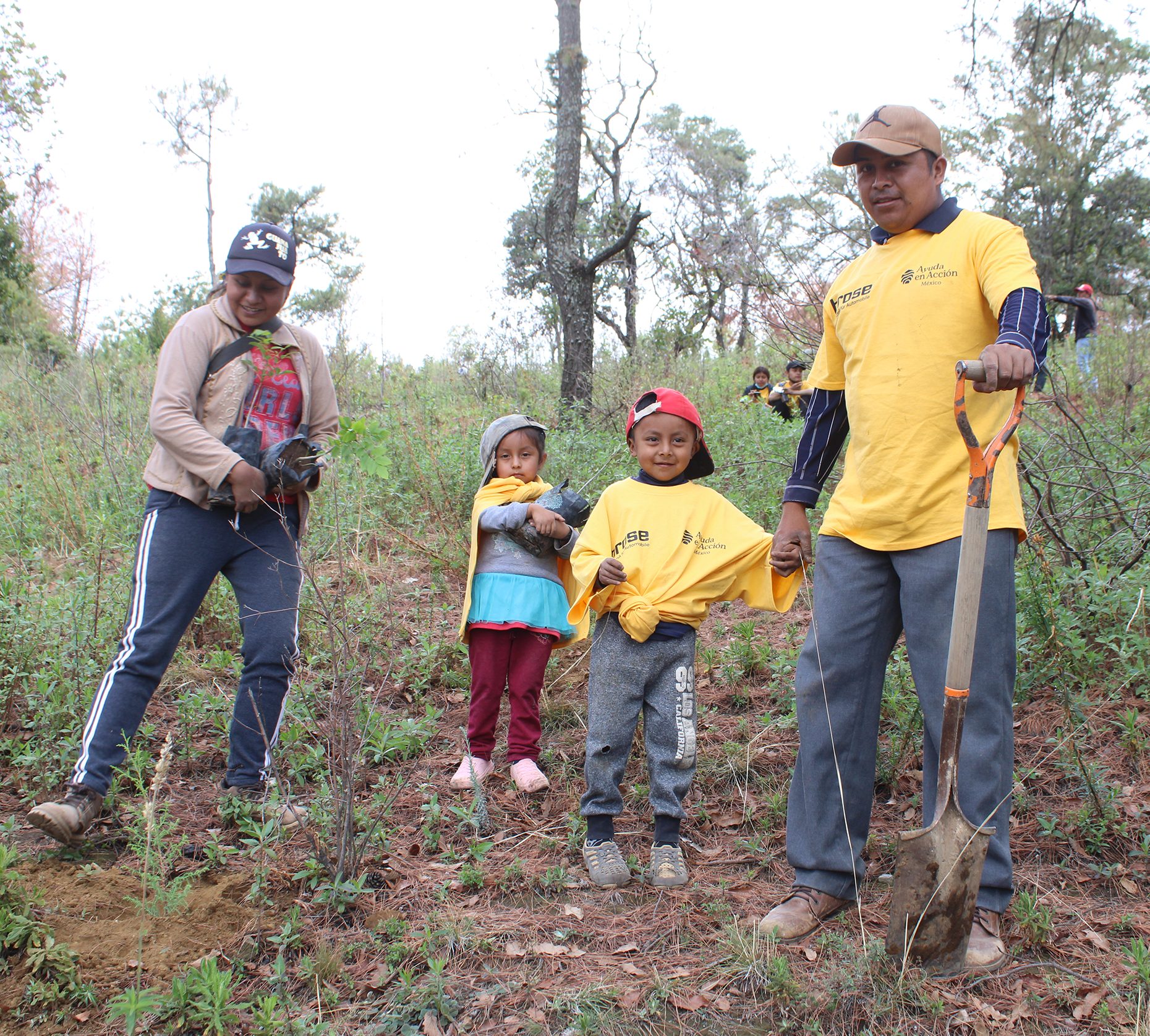 Familias reforestando